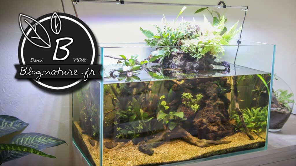 Réaliser un aquarium écologiquement autonome - Zone Aquatique